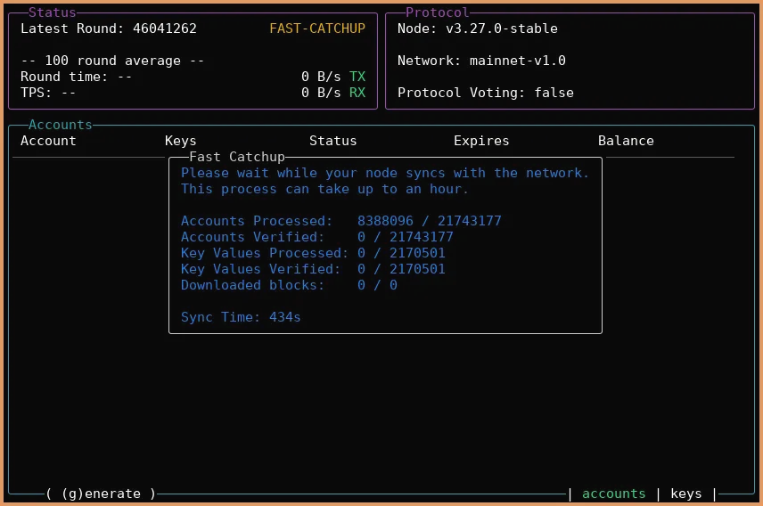 Screenshot of second phase of "nodekit bootstrap" process - fast-catchup